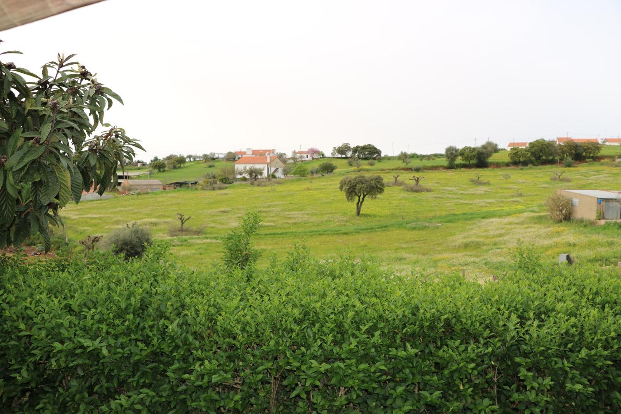 C M Casa De Mares Alojamento Local Casas Novas de Mares Exteriér fotografie